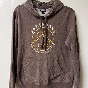 Patagonia Brown Hoodie with Gold Accents